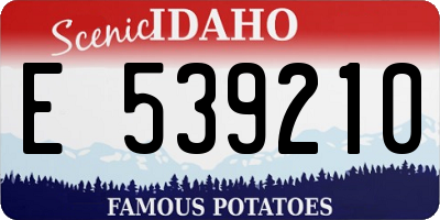 ID license plate E539210