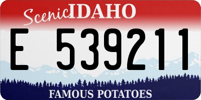 ID license plate E539211