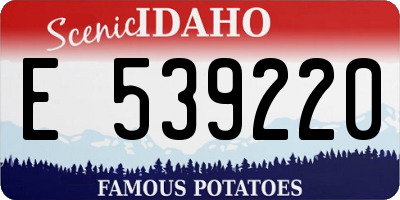 ID license plate E539220