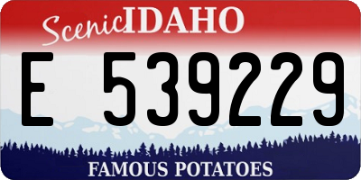 ID license plate E539229