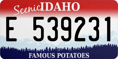 ID license plate E539231