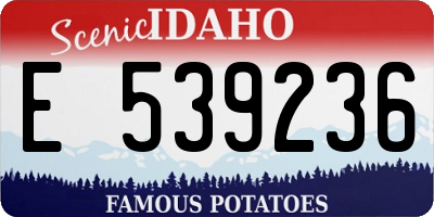 ID license plate E539236