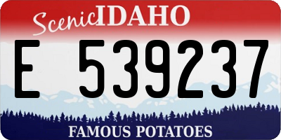 ID license plate E539237