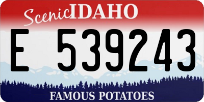 ID license plate E539243