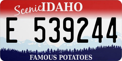 ID license plate E539244