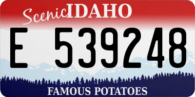 ID license plate E539248