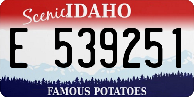ID license plate E539251