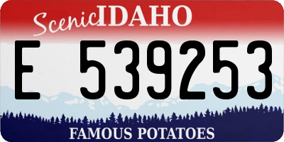 ID license plate E539253