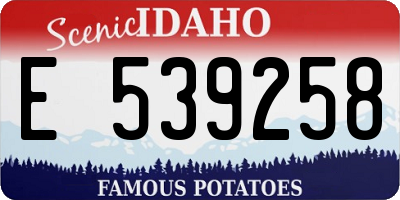 ID license plate E539258