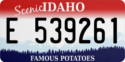 ID license plate E539261