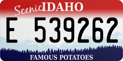 ID license plate E539262