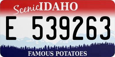 ID license plate E539263