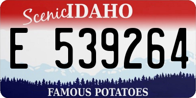 ID license plate E539264