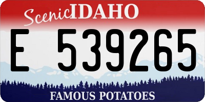 ID license plate E539265