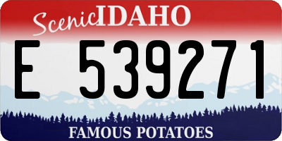 ID license plate E539271