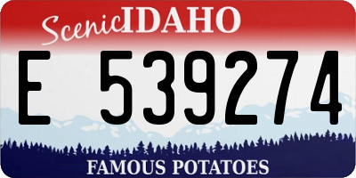 ID license plate E539274
