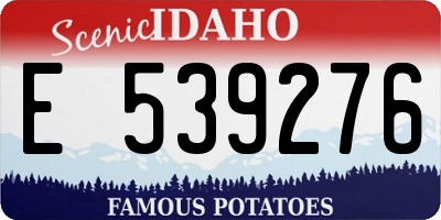 ID license plate E539276