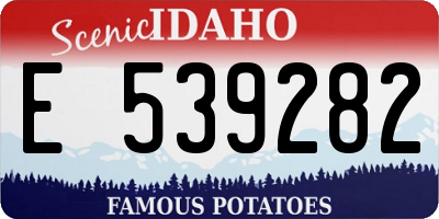 ID license plate E539282