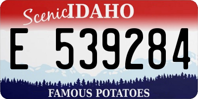 ID license plate E539284