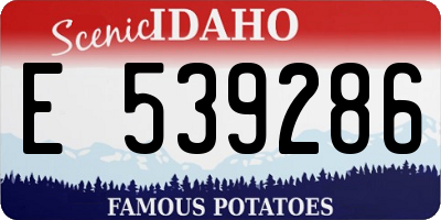 ID license plate E539286