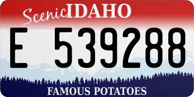 ID license plate E539288