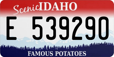 ID license plate E539290