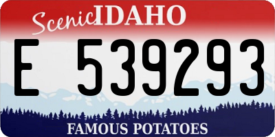 ID license plate E539293