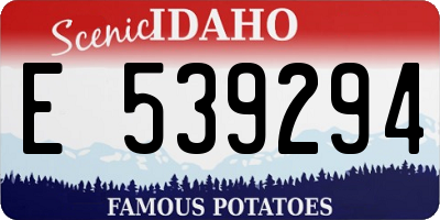 ID license plate E539294