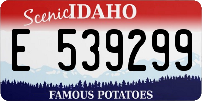 ID license plate E539299