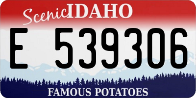 ID license plate E539306