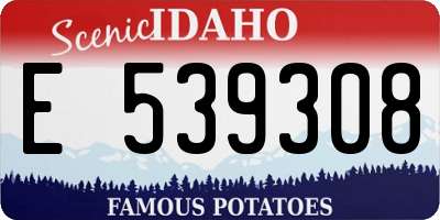 ID license plate E539308