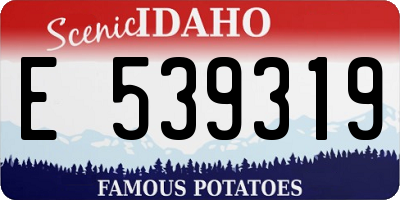 ID license plate E539319