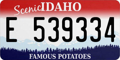 ID license plate E539334
