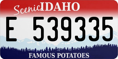 ID license plate E539335