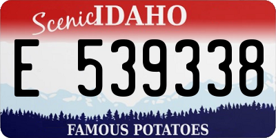ID license plate E539338