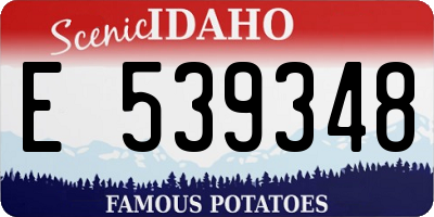 ID license plate E539348
