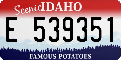 ID license plate E539351
