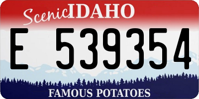 ID license plate E539354