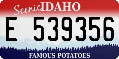 ID license plate E539356