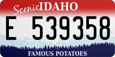ID license plate E539358