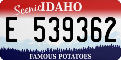 ID license plate E539362