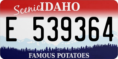 ID license plate E539364
