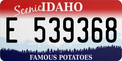 ID license plate E539368