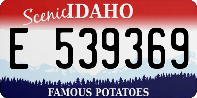 ID license plate E539369