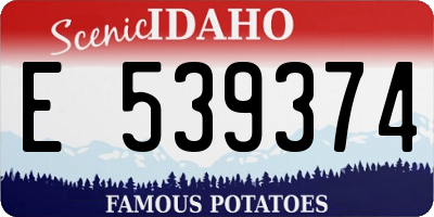ID license plate E539374
