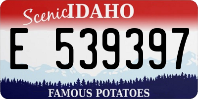 ID license plate E539397