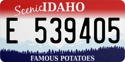 ID license plate E539405