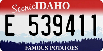 ID license plate E539411