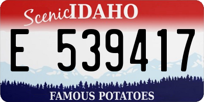 ID license plate E539417