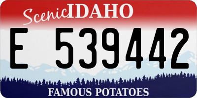 ID license plate E539442